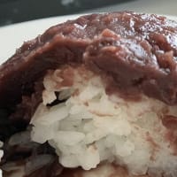  筑紫洲 (つくしのしま) でもぶどう記録；第59週
