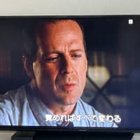 せらふじ園　＆　「シックスセンス」を観たよ