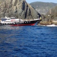 磯釣遊会      3月度例会       (男女群島)