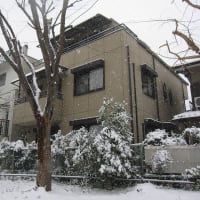 2月8日大雪