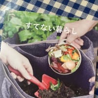 バッグ型コンポスト☺️