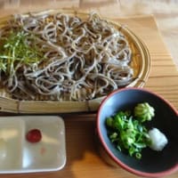 2025・5・10（土）…「そば処　小川柳」＠岡山県久米南町「ざる（蕎麦）」
