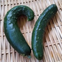 雨の日は休み