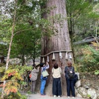 「天河大辨財天社」と「丹生川上神社三社」をめぐる旅