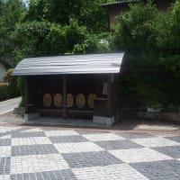 食