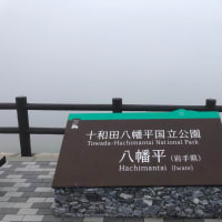 清水さんの13回忌
