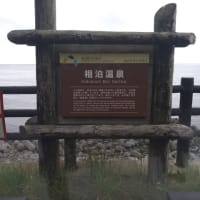 北海道旅つづき　知床→ウトロ→羅臼→根室納沙布岬