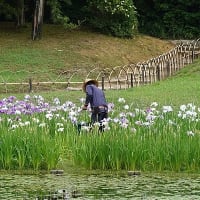 栗林公園