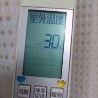 朝から暑い