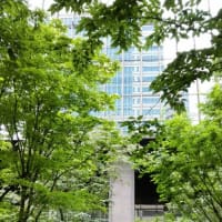 東風（コチ）の再会　10