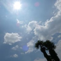 【参院選予測】７月５日現在情勢調査！与党過半数が厳しい情勢！国民民主党・参政党が躍進でキャスティングボートを握る！( ｀ー´)ノ