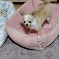 いい湯だな