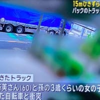 東京でクソ外道が碌に確認もせずに大型トラックでバックして、チャリの女性と女児を轢いて女性を⚫️害