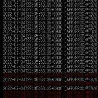 ebiteの SAP CAPで駄目だったところ
