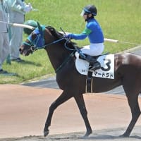 【マードラド】ウォーキングマシン運動開始