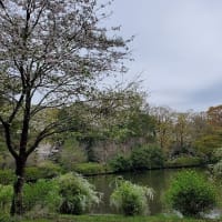 国分寺　日立研の庭園開放