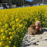 ７月８月９月空室案内