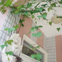 お客様訪問