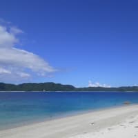 奄美の夏