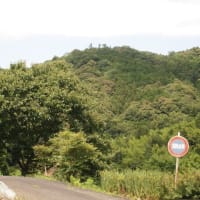 今日の野村町の空模様です