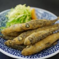 2011.3月　調理画像