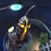 HME2014へ行って参りました。