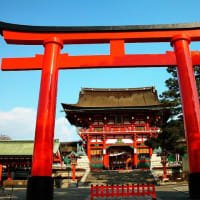 京都　伏見稲荷大社・田植祭  10日