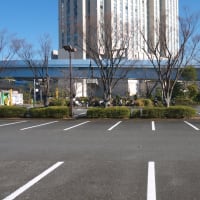 １月のお台場：台場駅前交差点から東京都立潮風公園・北側エリアへ　ＰＡＲＴ２