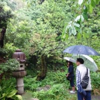 雨の東京探訪の会、肥後細川庭園へ