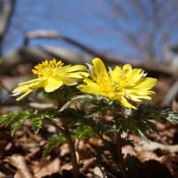 岩宇土山へ②　登山編