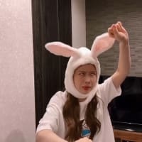 猫の日なので