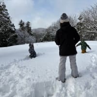 冬の活動雪遊び