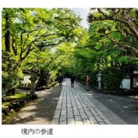 大津市の石山寺を訪ねた。　－2025.5下－