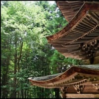 「安楽寺」の 国宝八角三重塔