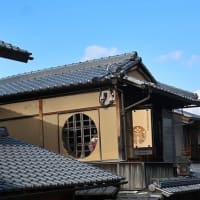 今年初の雪見・湖北　２０２５年１月