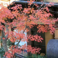 07/01奈良京都への旅-19（京都：八坂の塔、二寧坂付近の模様、）