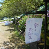 袋井市　遠州三山風鈴祭り～法多山に行ったが厄除け氷はないのか？