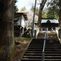 さくら写ん歩：新海三社神社・・・