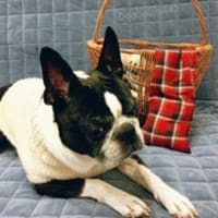 寒い日の必需品(※人用)
