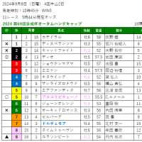 2024 第69回京成杯オータムハンデキャップ