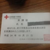 赤十字救急法指導員講習会