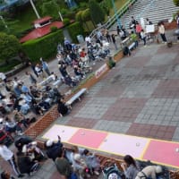 『わんこ春の大運動会』