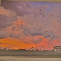 平城宮跡で野鳥写真展開催中！・・・夏鳥たちの小さな写真館