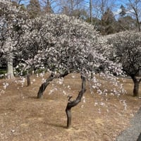 彼との未来😌🌼