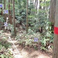丸子城 駿河 その２ 　東海道を扼する規模が大きく城郭遺構がてんこ盛りの山城