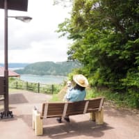 奄美大島　瀬戸内町　嘉鉄のハート湾　「ハートが見える風景」