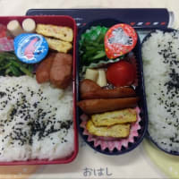 今日のお弁当