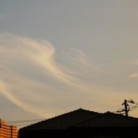 越谷の空