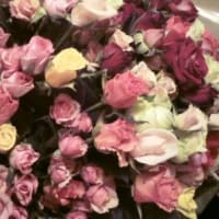薔薇の花束