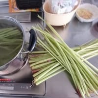 山菜（筍・フキ・ワラビ）の調理